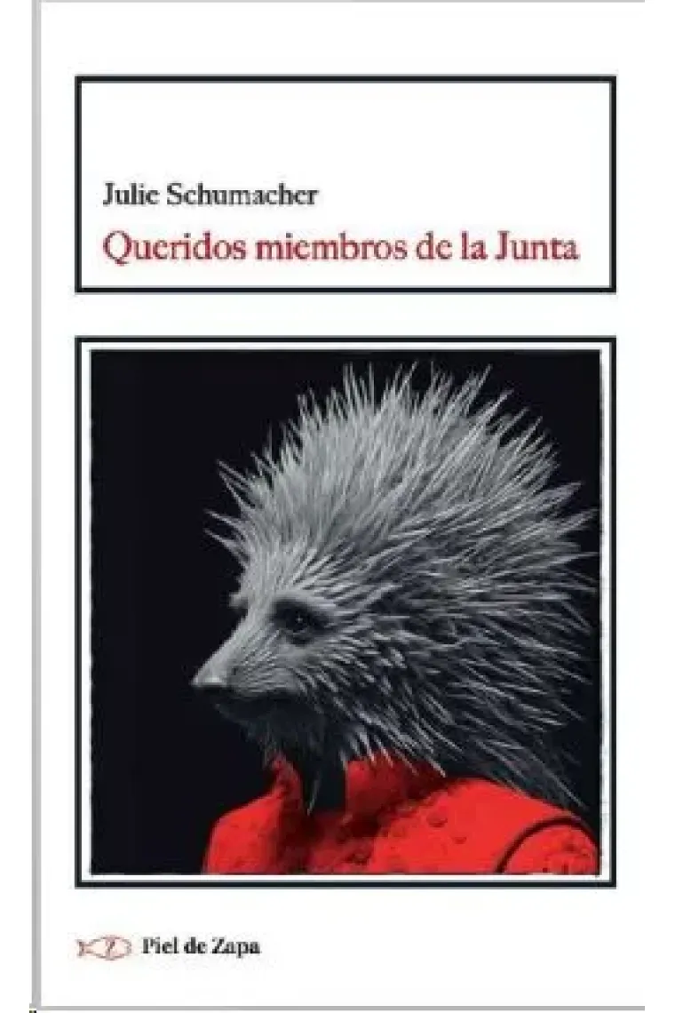 Queridos miembros de la Junta