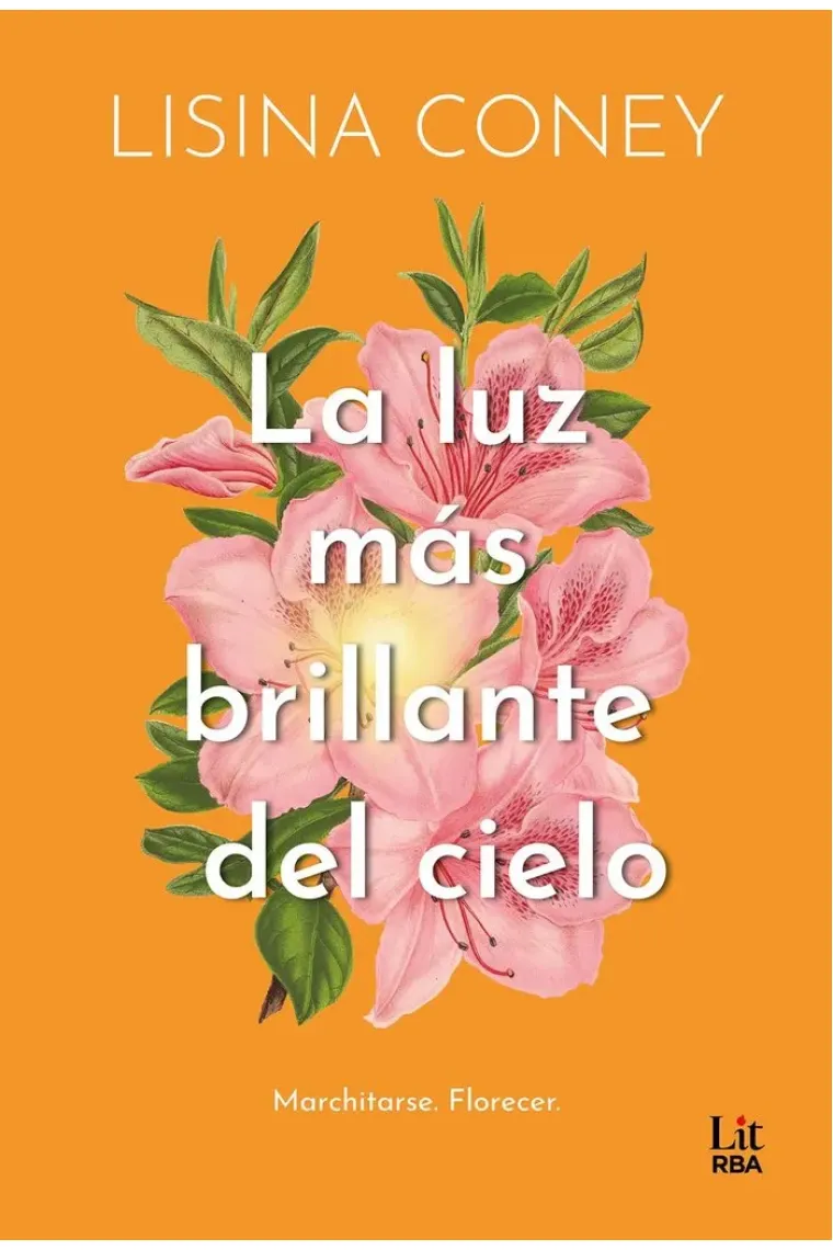 La luz más brillante del cielo