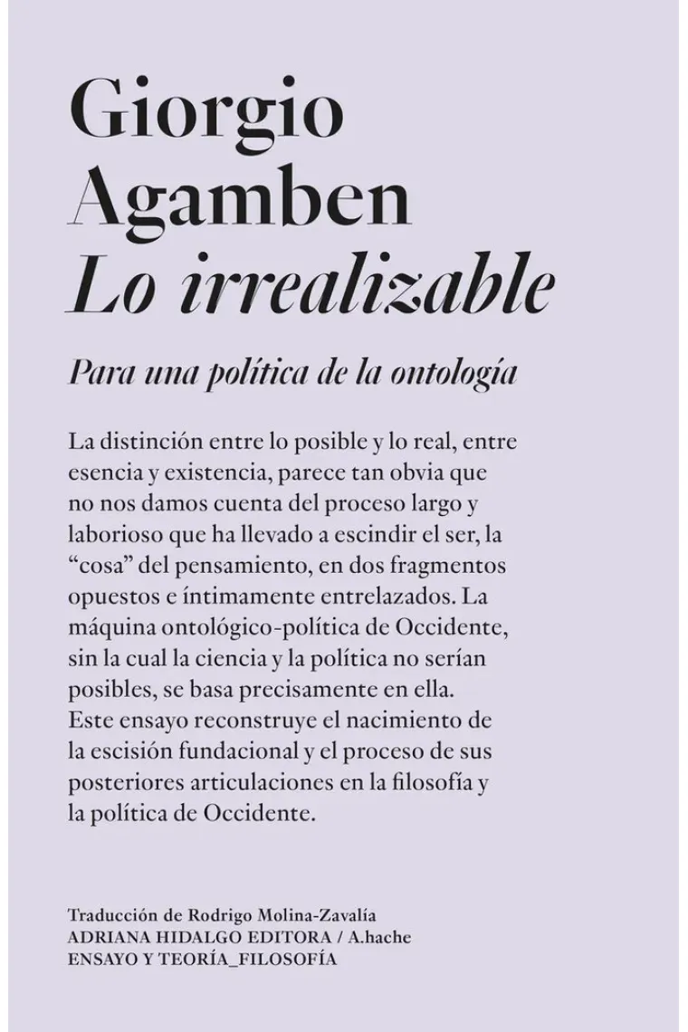 Lo irrealizable: para una política de la ontología