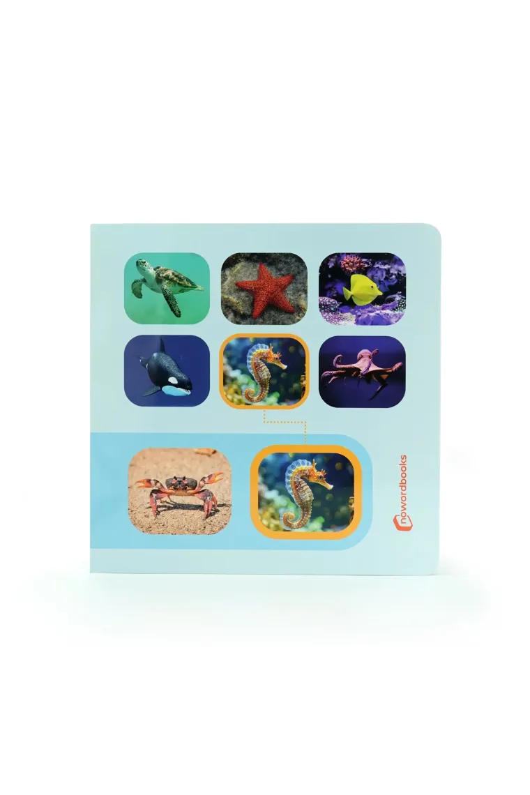 Busca y encuentra. Animales del Mar