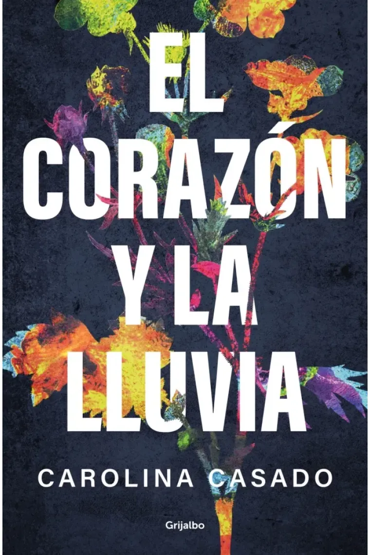 EL CORAZON Y LA LLUVIA