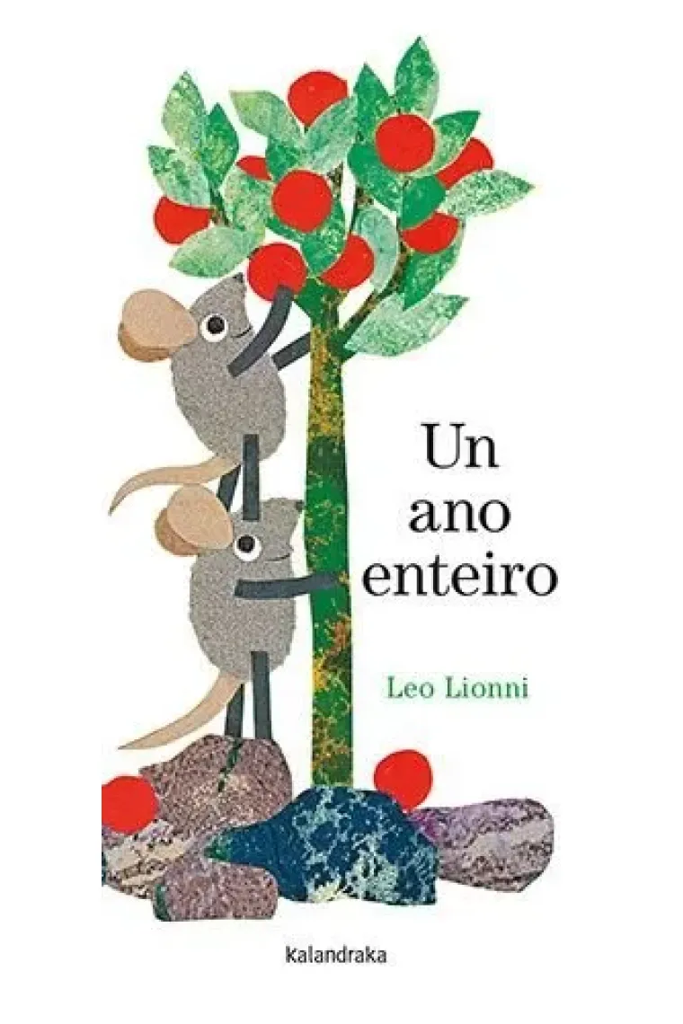 UN ANO ENTEIRO