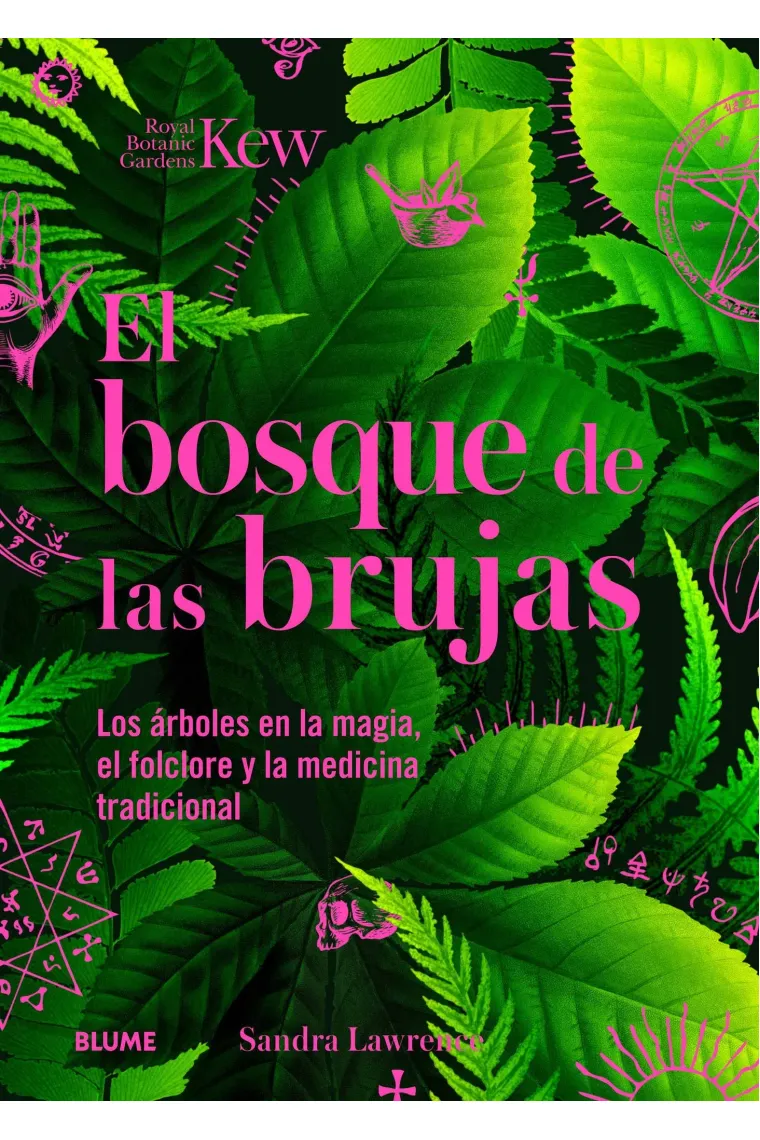 El bosque de las brujas