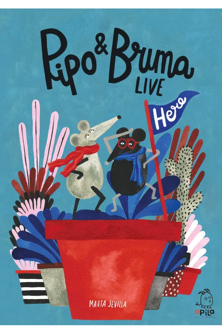 PIPO & BRUMA LIVE HERE