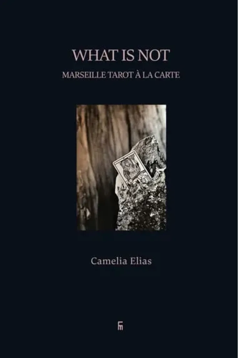 What is not: Marseille Tarot à la carte (Divination) (Inglés)