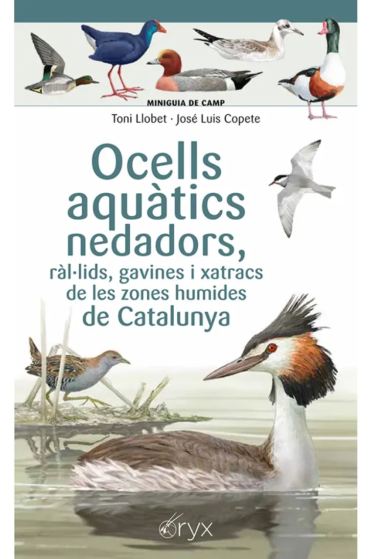 Ocells aquàtics nedadors, ràl·lids, gavines i xatracs de les zones humides de Catalunya (Catalán)