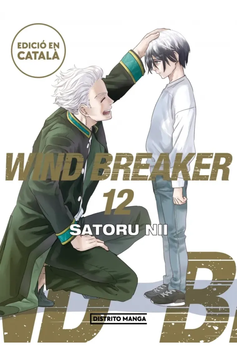 Wind Breaker (edició en català) 12 (Catalán)