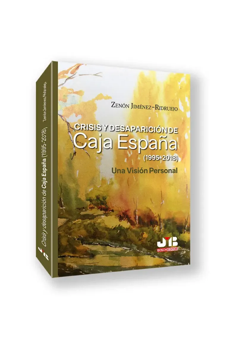 CRISIS Y DESAPARICION DE CAJA ESPAÑA 1995 2018 UNA VISION