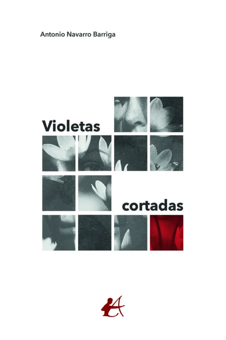 VIOLETAS CORTADAS