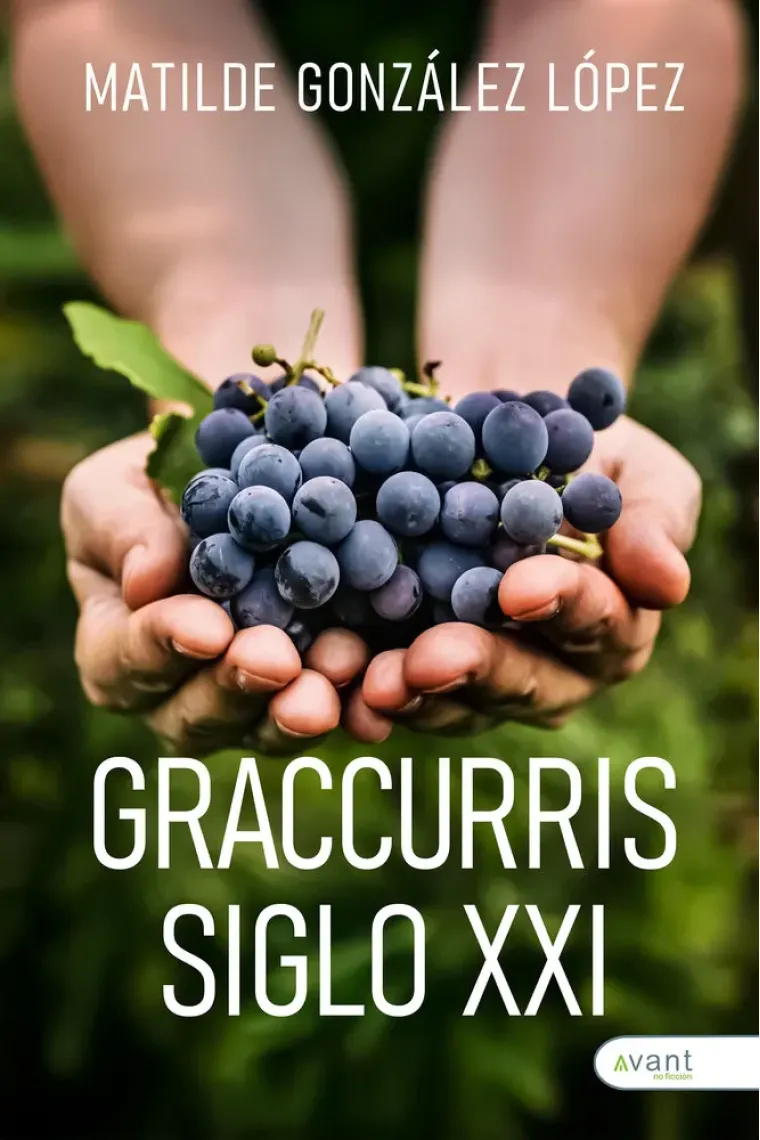 GRACCURRIS SIGLO XXI