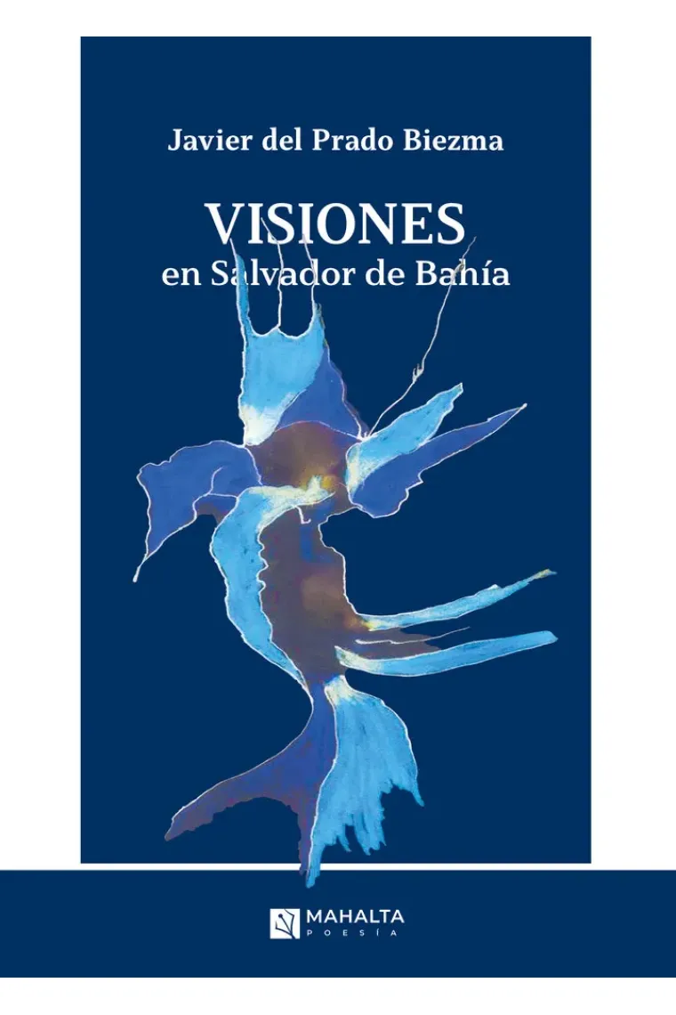 VISIONES EN SALVADOR DE BAHIA
