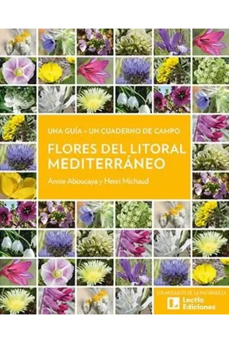 Flores del litoral mediterráneo