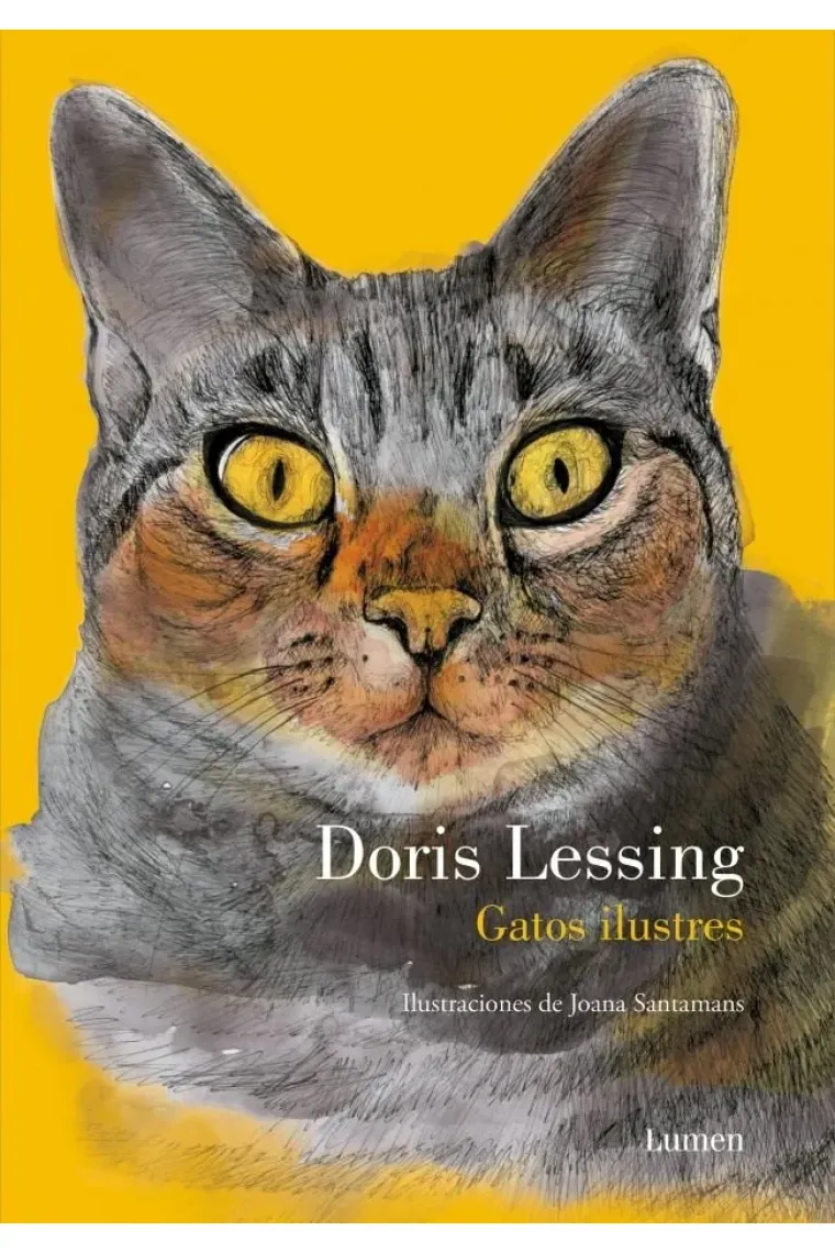 GATOS ILUSTRES