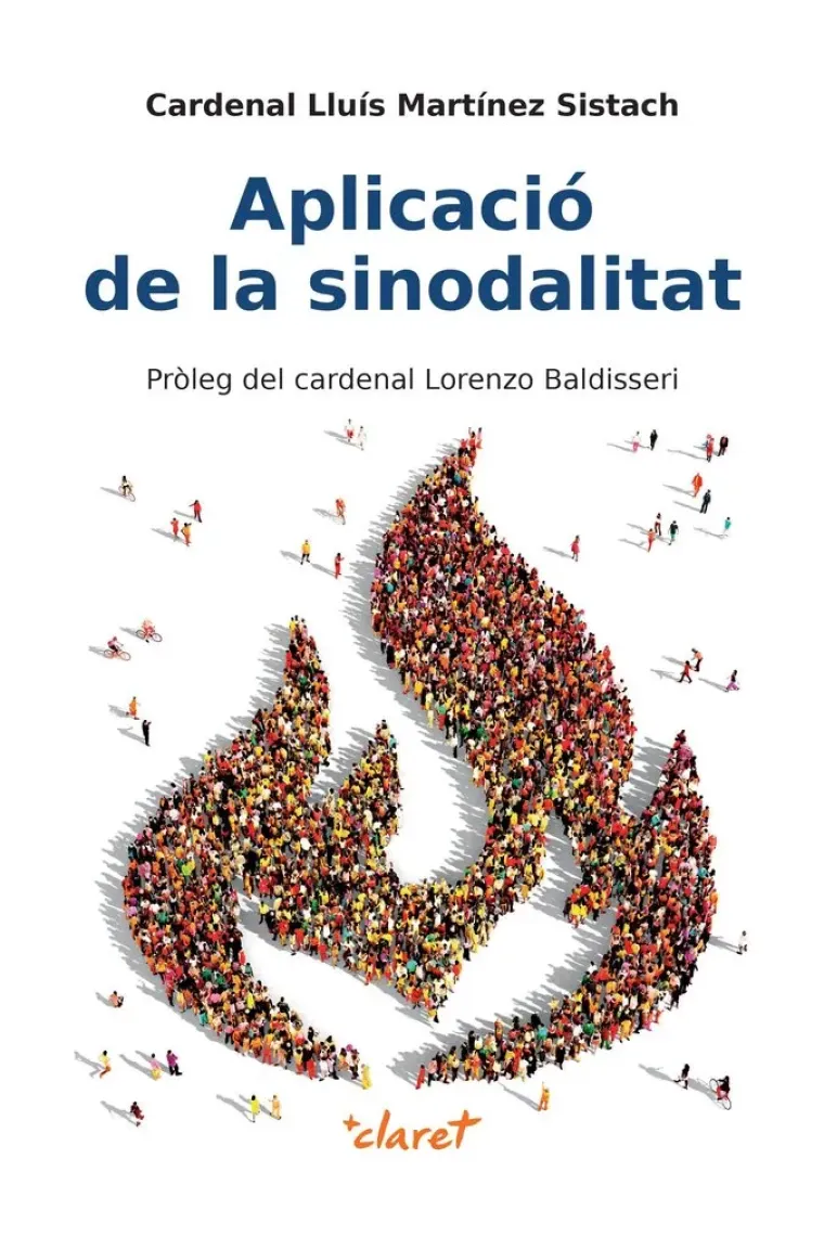 Aplicació de la sinodalitat (Catalán)