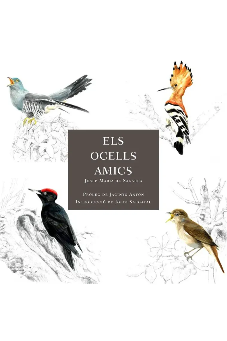 Mis amigos los pájaros