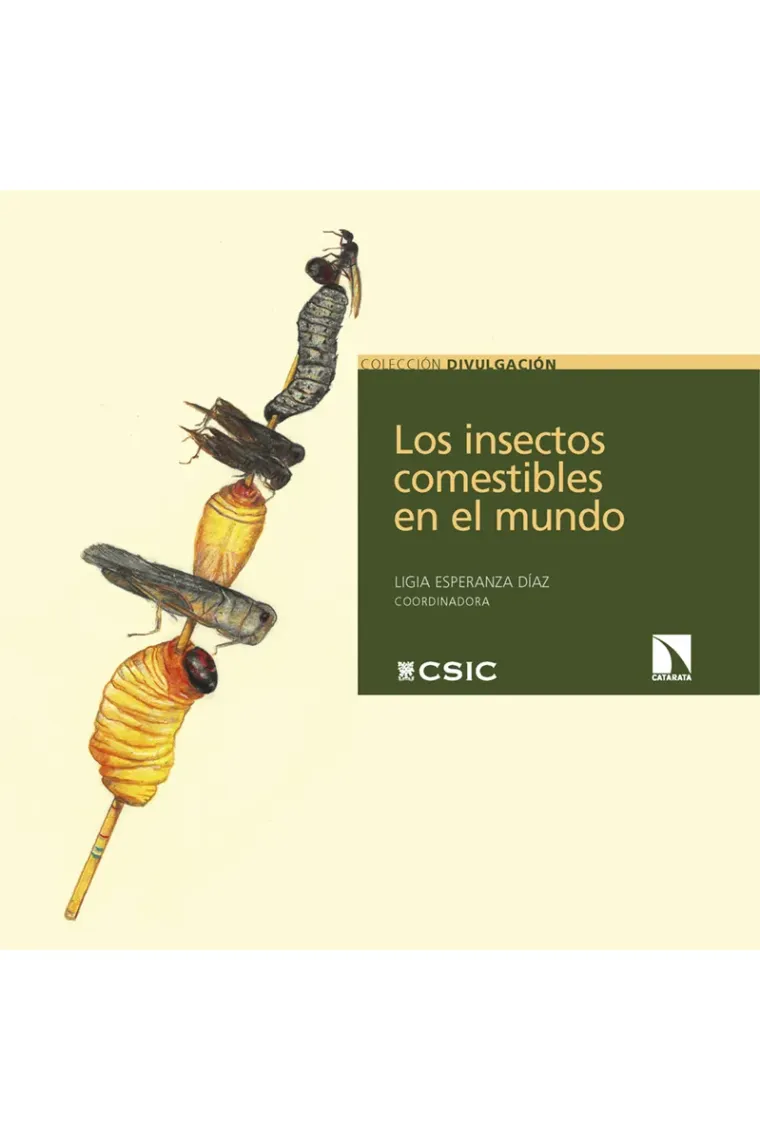 Los insectos comestibles en el mundo