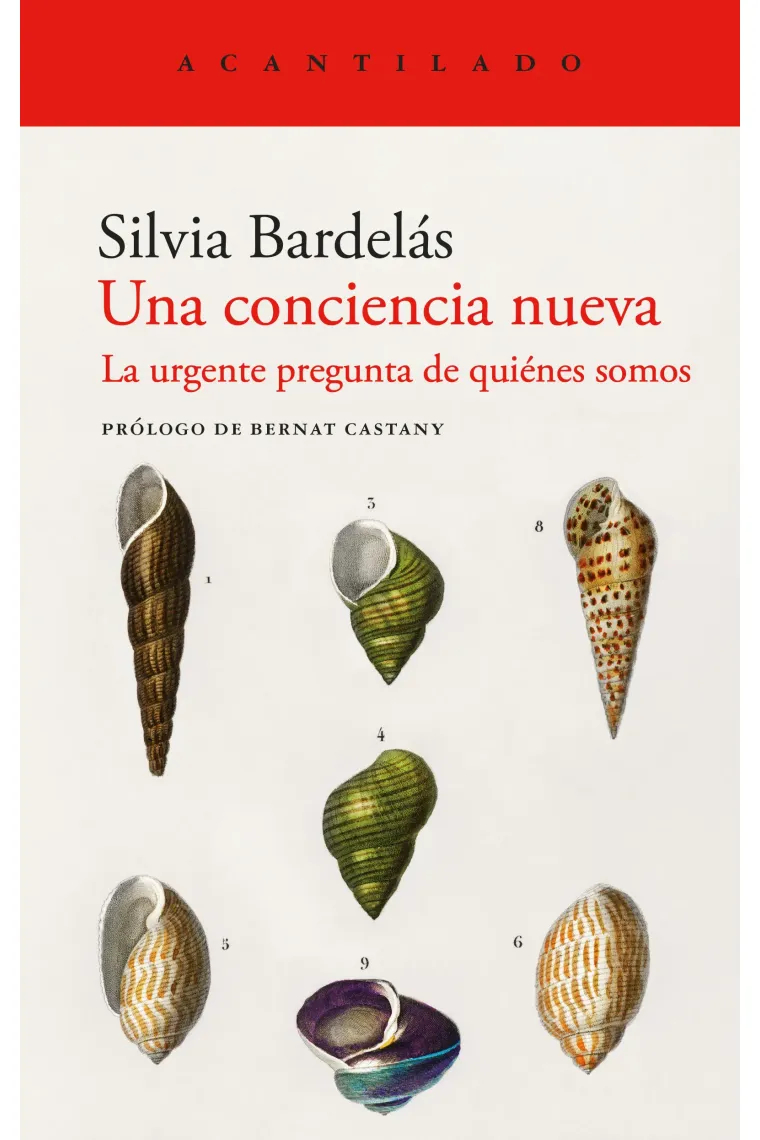 Una conciencia nueva: la urgente pregunta de quiénes somos