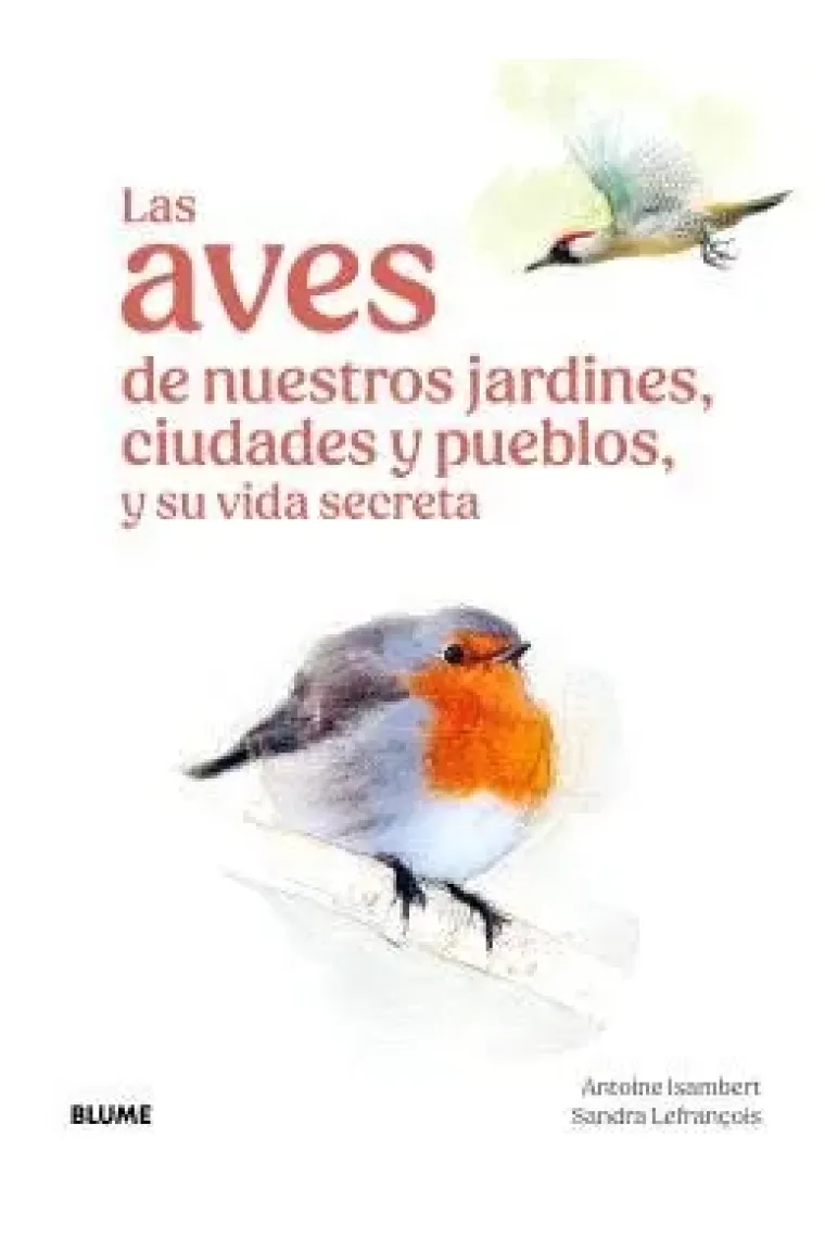 Las aves de nuestros jardines ciudades y pueblos
