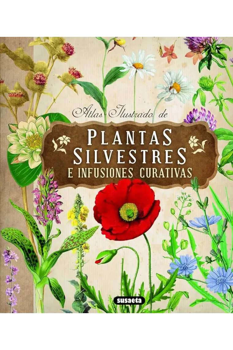 Atlas ilustrado plantas silvestres e infusiones curativas