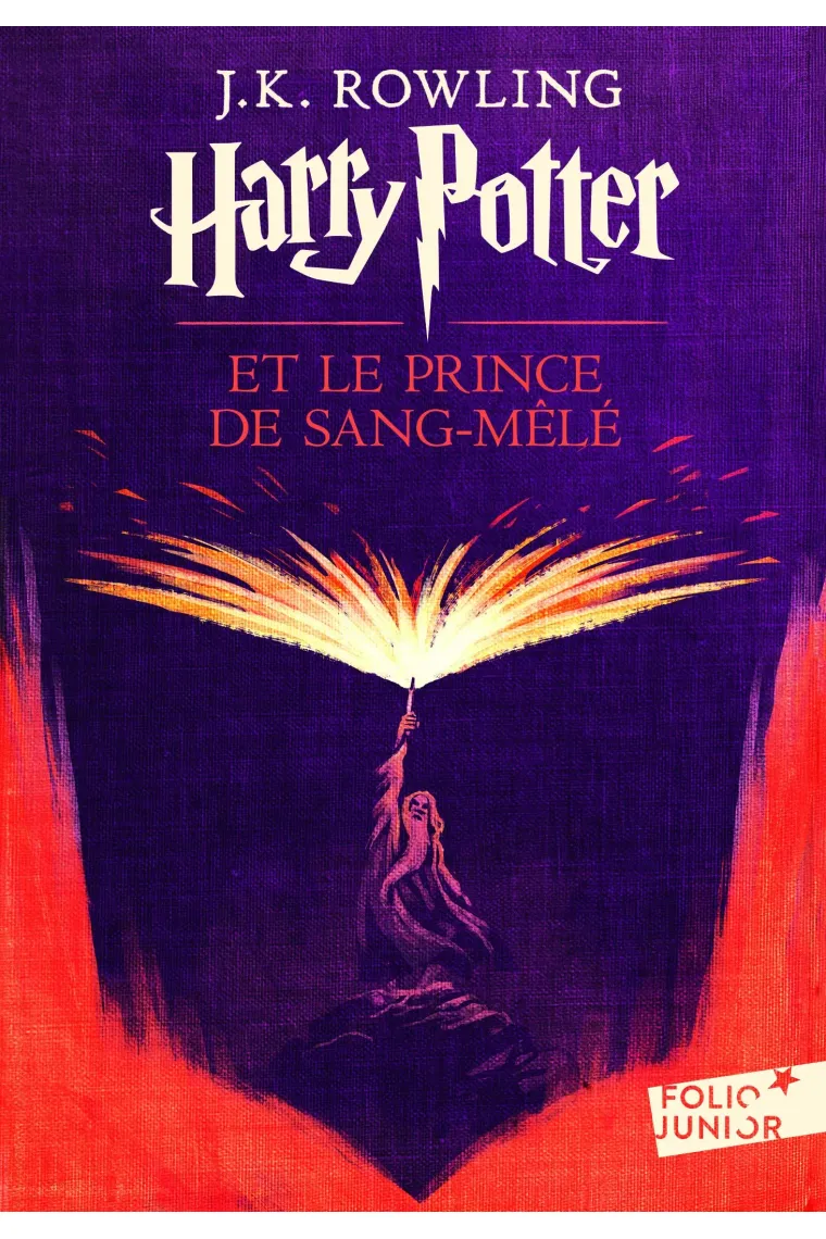 Harry Potter et le Prince de Sang-Mêlé 6 (Francés)