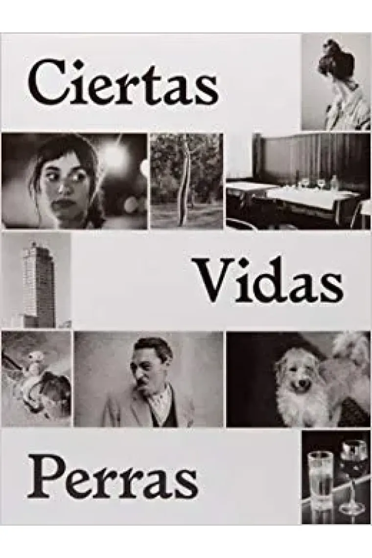 Ciertas vidas perras