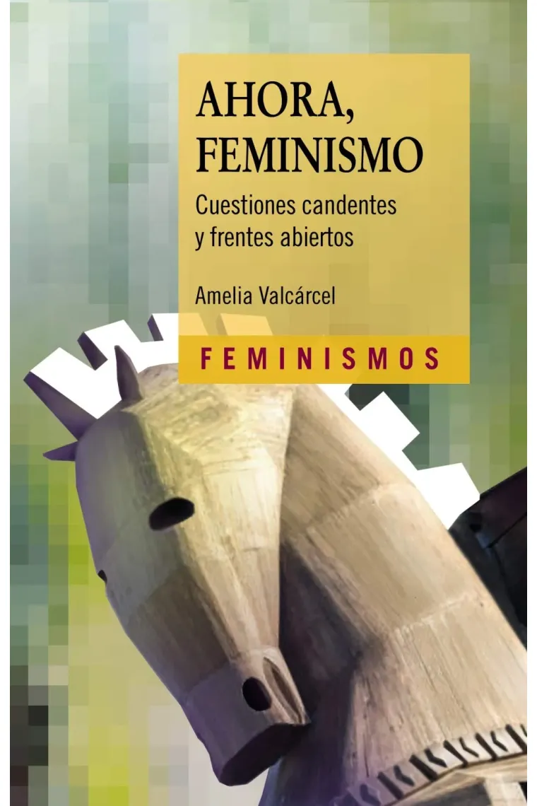 Ahora, Feminismo: Cuestiones candentes y frentes abiertos (Feminismos)