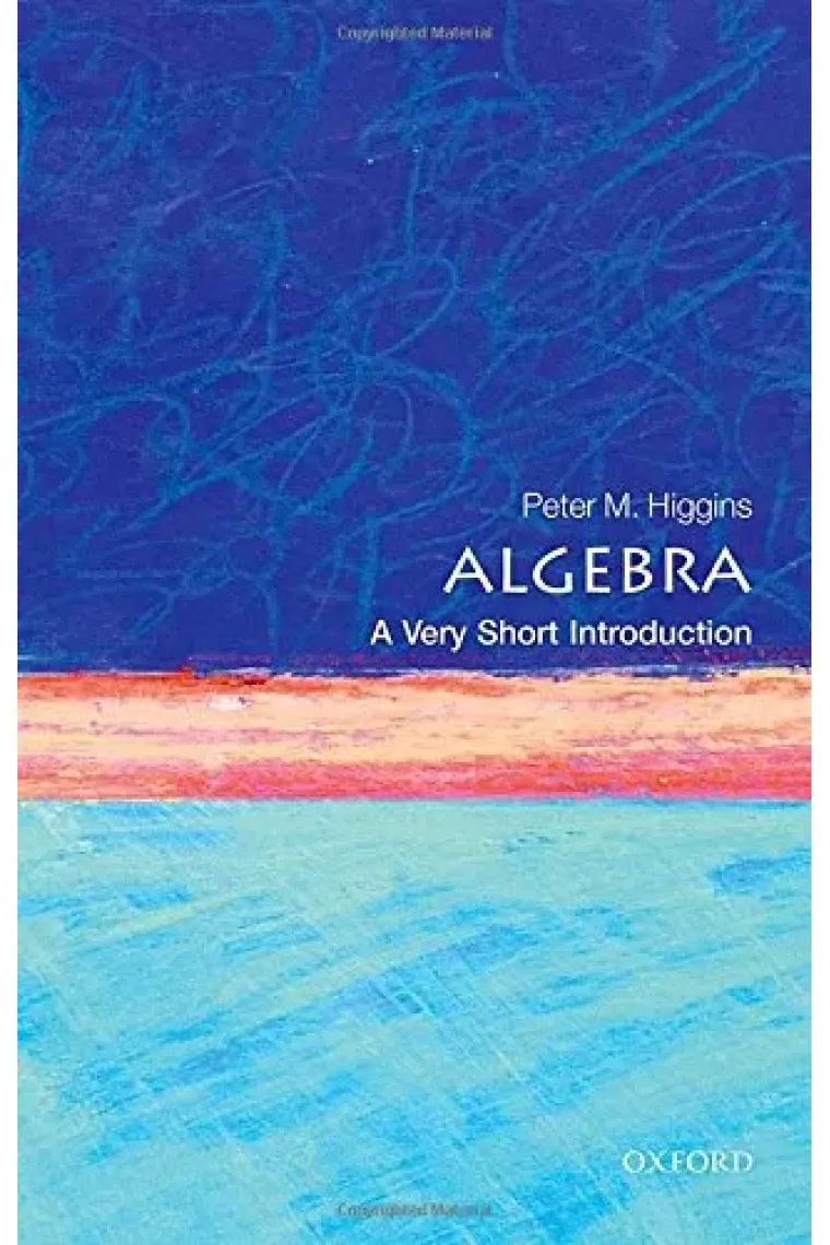 Algebra: A Very Short Introduction (Very Short Introductions) (Inglés)