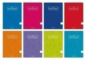 LIBRETA PAPYRUS A4 48H 90G T.BLANDA CUADRIC.4X4 COL.SUR.