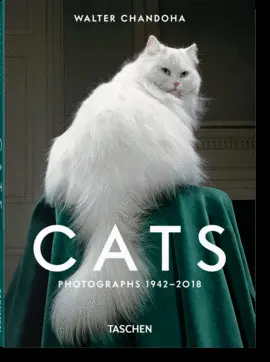 WALTER CHANDOHA. CATS. PHOTOGRAPHS 19422018