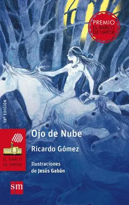 VISOR PROFESOR. OJO DE NUBE