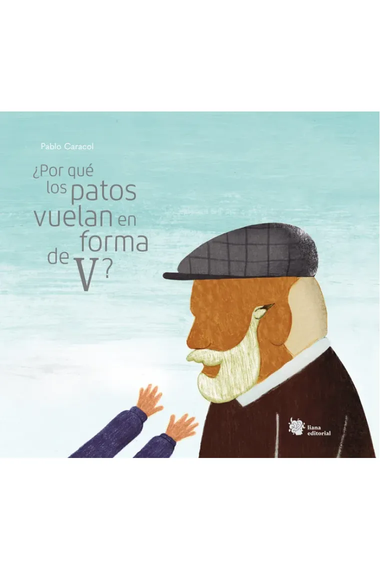 ¿Por qué los patos vuelan en forma de V?