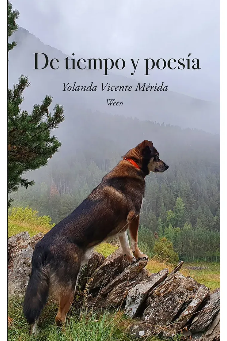 DE TIEMPO Y POESIA