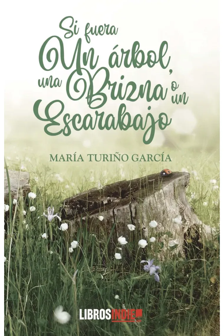 SI FUERA UN ÁRBOL, UNA BRIZNA O UN ESCARABAJO