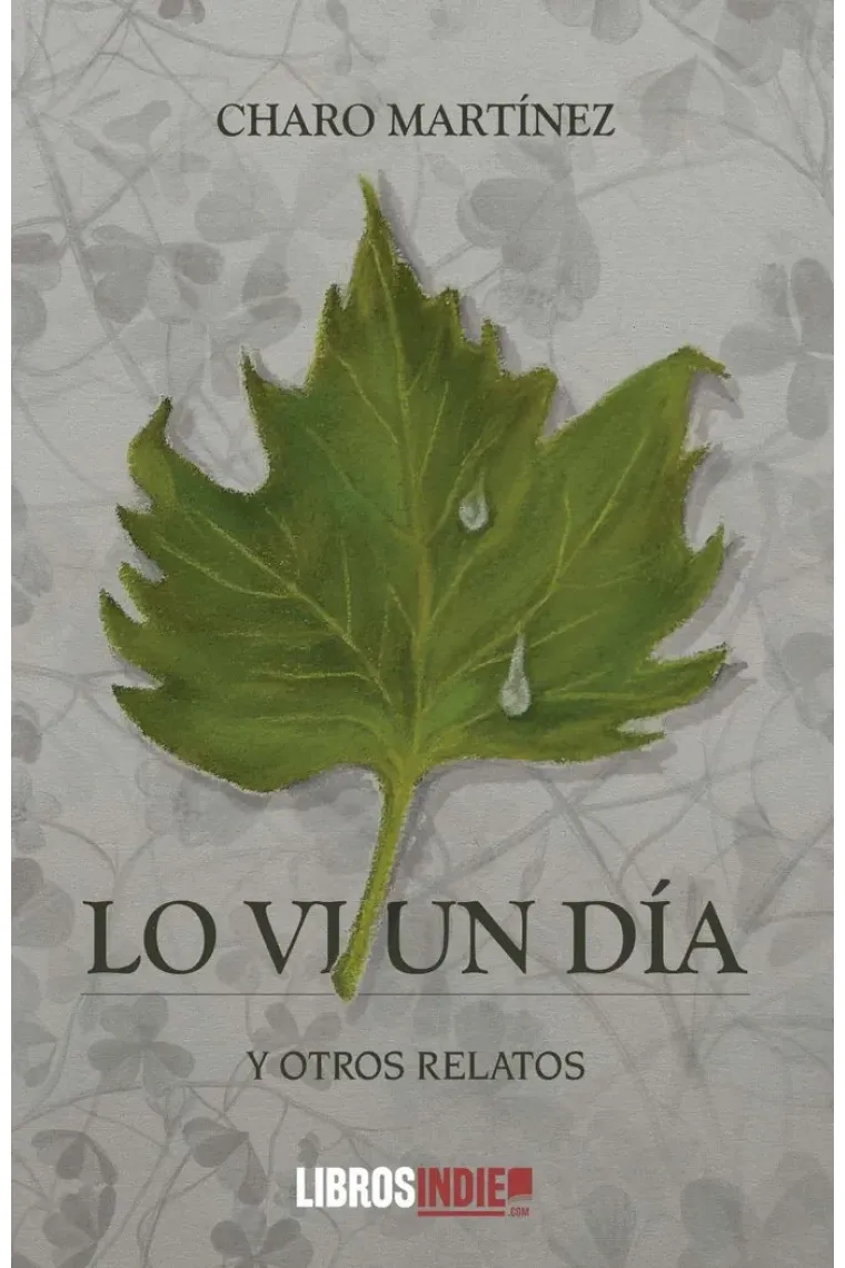 LO VI UN DIA