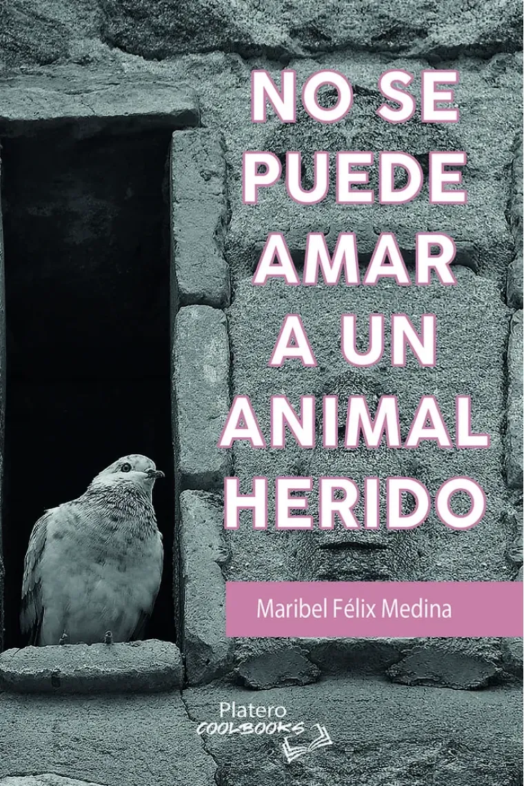 NO SE PUEDE AMAR A UN ANIMAL HERIDO