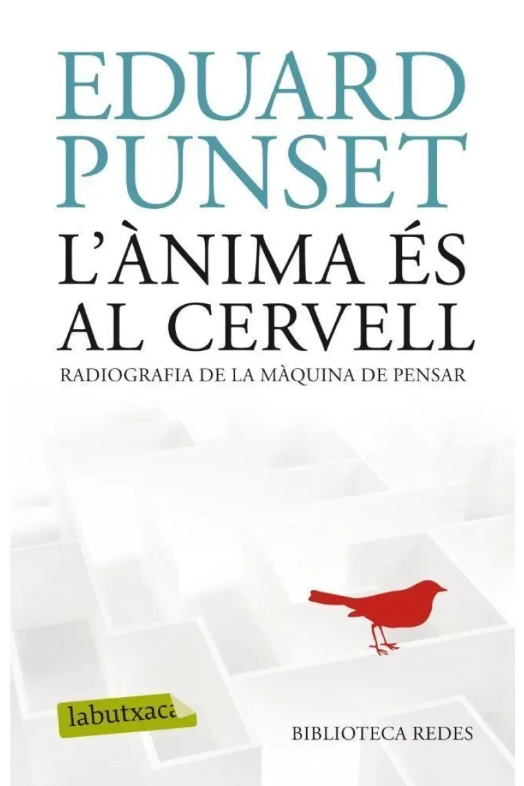 L'ànima és al cervell (Catalán)