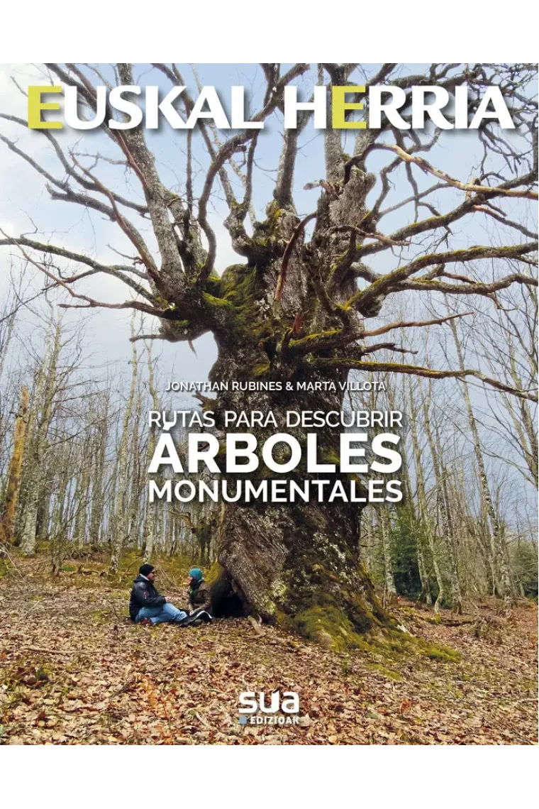Rutas para descubrir árboles monumentales