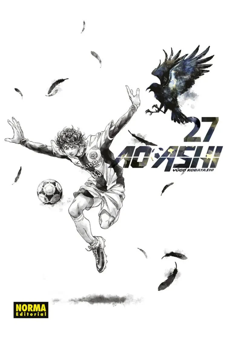 AO ASHI 27