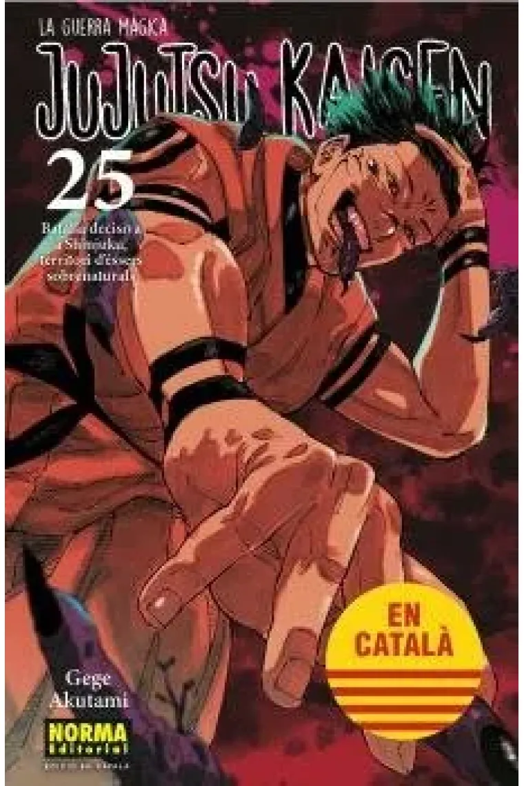 JUJUTSU KAISEN 25
