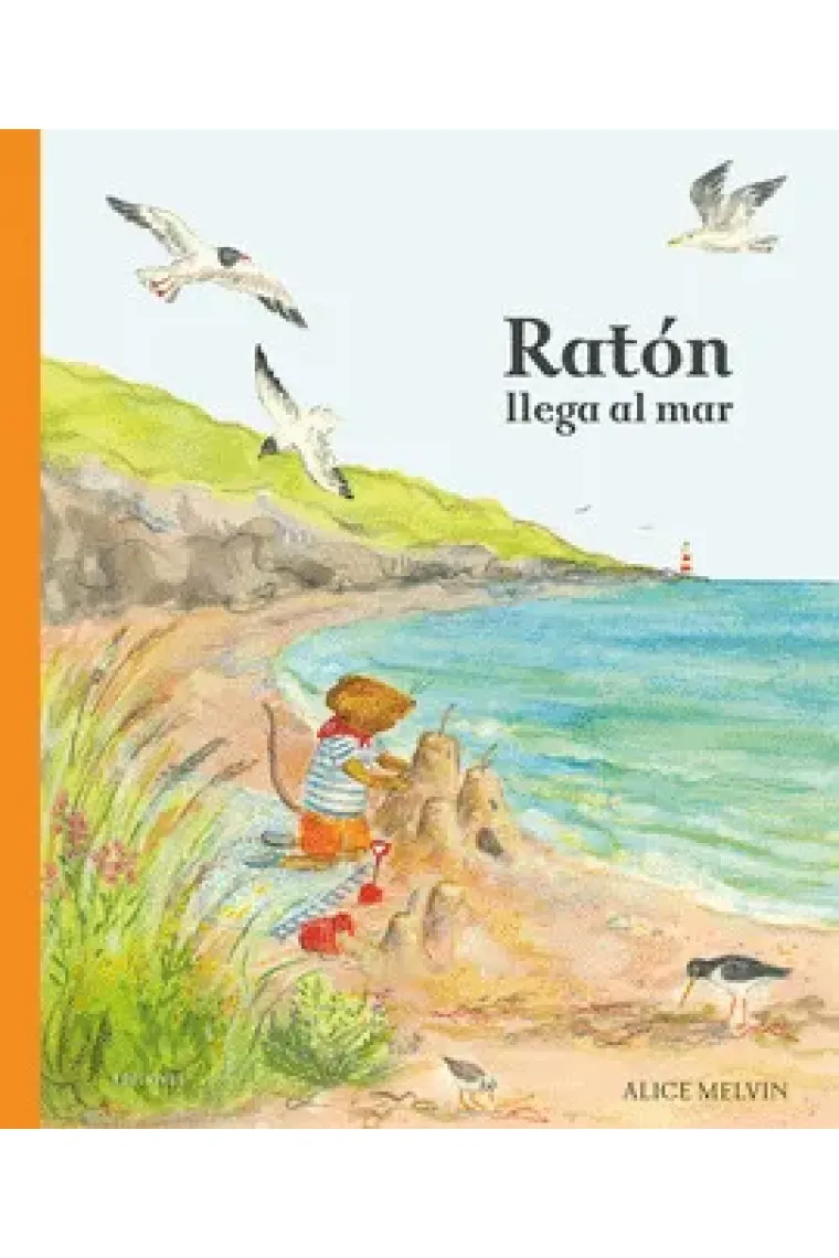 RATON LLEGA AL MAR
