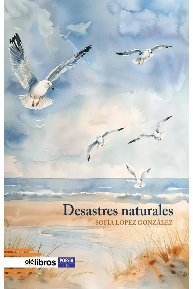 DESASTRES NATURALES