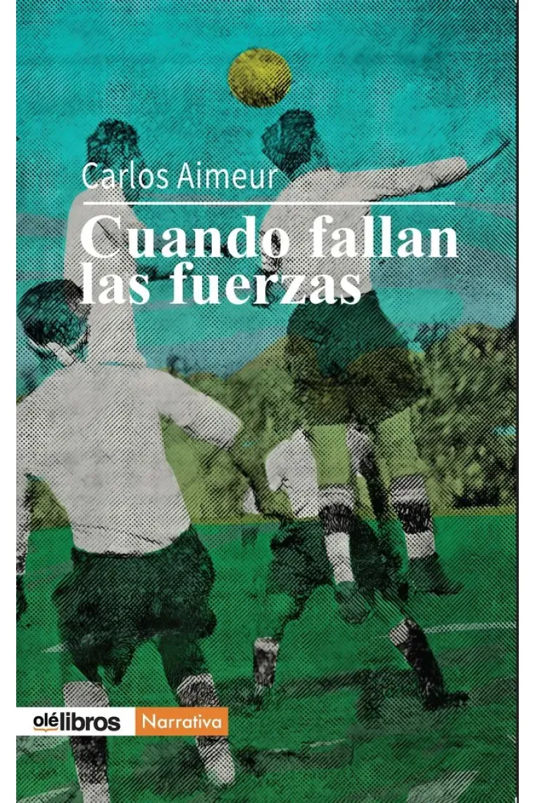 CUANDO FALLAN LAS FUERZAS