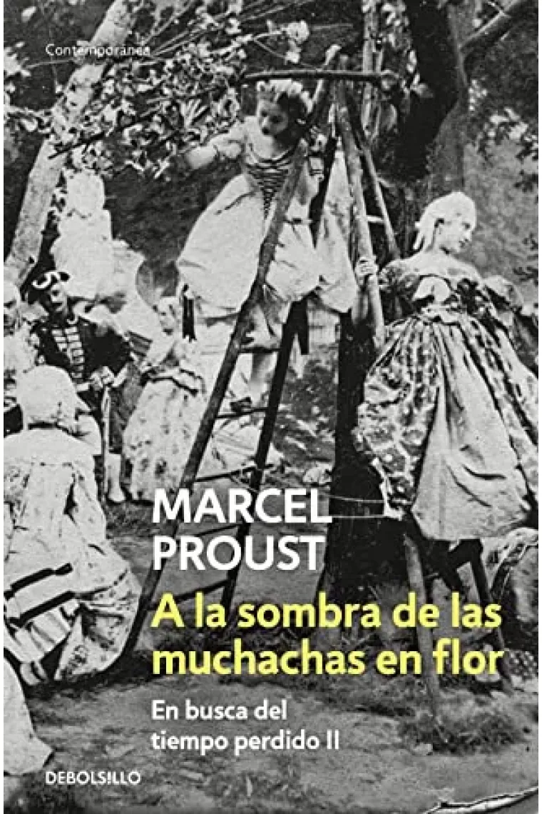 A la sombra de las muchachas en flor (En busca del tiempo perdido, 2)