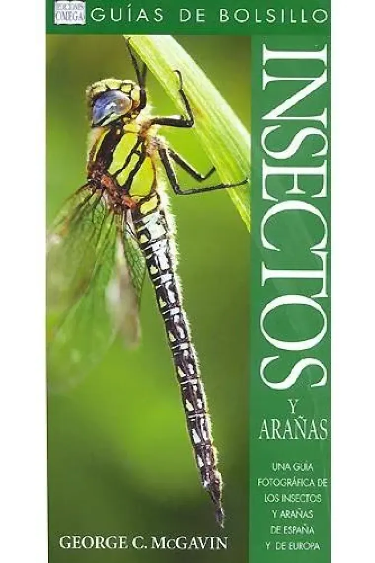 Insectos y arañas. Guías de bolsillo