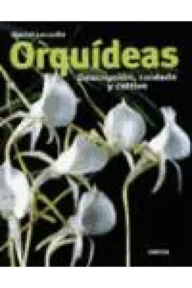 Orquídeas. Descripción, cuidado y cultivo