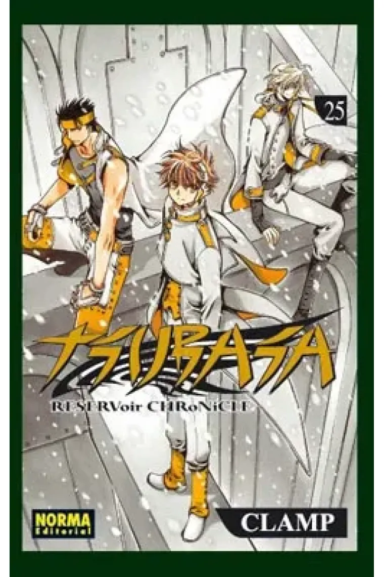 Tsubasa Reservoir Chronicle 25
