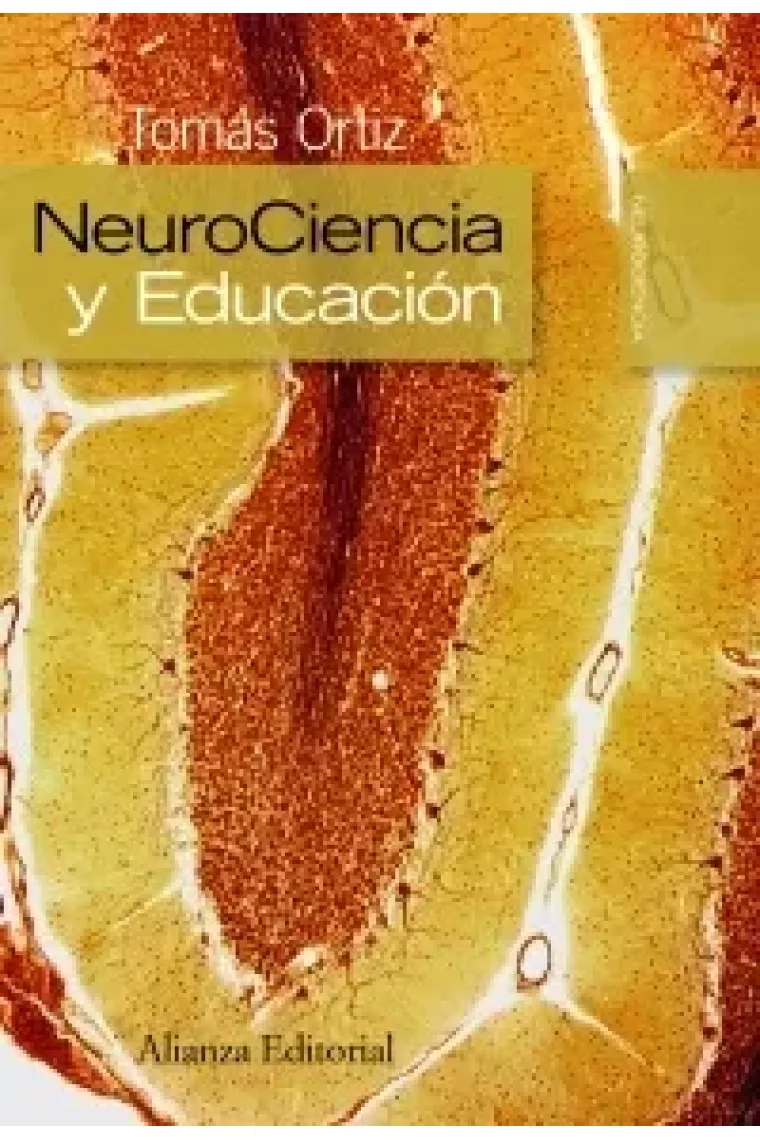 Neurociencia y educación