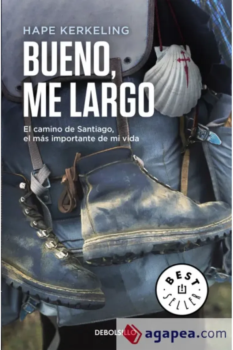 Bueno, me largo. El camino de Santiago, el más importante de mi vida