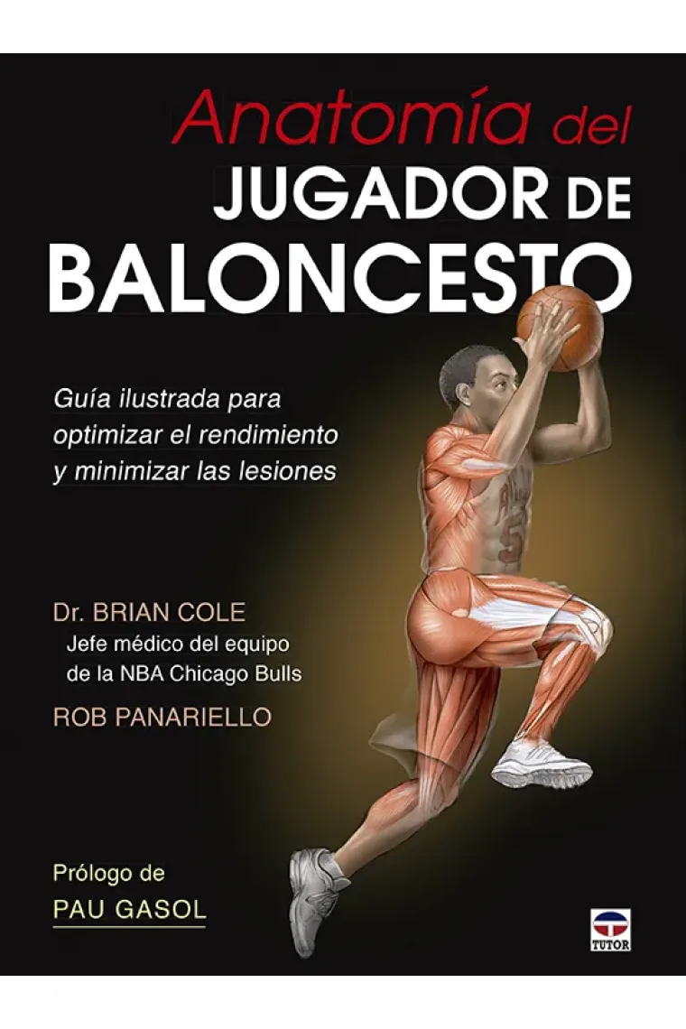 Anatomía del jugador de baloncesto
