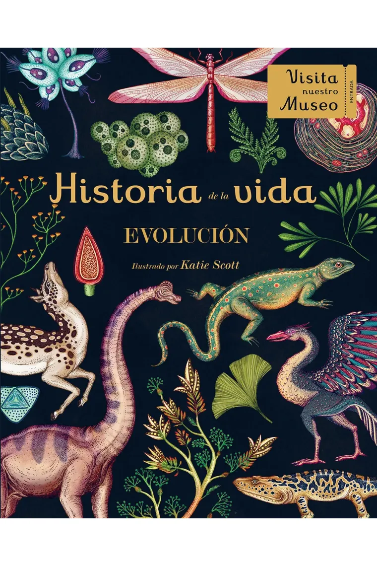 Historia de la vida